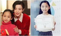 Em gái của Phạm Băng Băng từng được dự đoán sớm trở thành đại mỹ nhân năm nào giờ đây nhìn khác hẳn