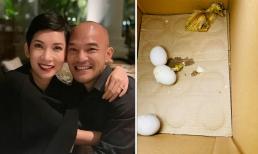 Xuân Lan ám ảnh vì mùi thối khi chồng nuôi vịt trong căn hộ, đại gia Đức An bình luận gây chú ý