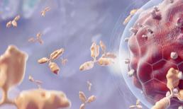 Đừng nhầm ung thư trực tràng là bệnh trĩ. Nhắc nhở: Khi ung thư trực tràng đến, cơ thể bạn có thể đưa ra 4 'gợi ý'