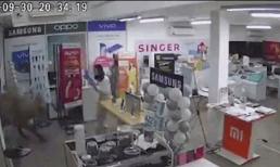 Trâu điên lao vào cửa hàng điện thoại húc ngã nữ nhân viên xuống đất