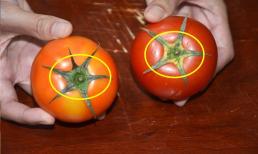 Chú ý khi mua cà chua chọn loại 5 lá hay 6 lá? Làm thế nào để phân biệt cà chua hóc môn?