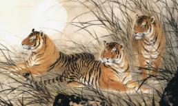 Sức chịu đựng của 4 con giáp này thật đáng kinh ngạc, đầu năm mọi chuyện rối rắm nhưng cuối năm tài lộc rủng rỉnh, gặp nhiều may mắn