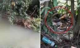 Clip cận cảnh hiện trường nơi tìm thấy thi thể bé trai 2 tuổi mất tích ở Bình Dương