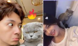 Ngô Kiến Huy và hot girl Lâm Đồng lộ loạt 'hint' hẹn hò, người trong cuộc có động thái gì?