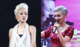 Cô phẫu thuật chục lần để giống cố nghệ sĩ Mai Diễm Phương, đến khi cô nổi tiếng, Lưu Đức Hoa lần đầu gặp cô đã bật khóc