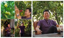 Khu vườn trái cây 1.200 m2 của danh hài Vân Sơn tại Mỹ