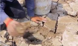 Người đàn ông trổ tài bắt cá trên cánh đồng khô cằn khiến dân mạng mở mang tầm mắt