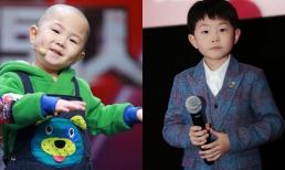 Sao nhí 3 tuổi từng gây sốt, kiếm hàng triệu đô chu cấp cho cả gia đình, 9 tuổi không có ý định đi học khiến bố mẹ phải hối hận 