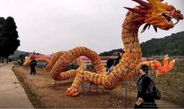 Chú rồng khổng lồ được tạo từ 60.000 bắp ngô để ăn mừng vụ mùa bội thu
