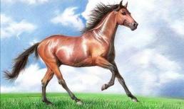 Bắt đầu từ tháng 10 âm lịch, 6 con giáp đón nhận tiền tài, bạn có nằm trong số con giáp này?