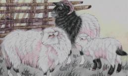 Nửa cuối tháng 11 dương lịch, top 3 con giáp tài lộc vượng phát, chuyển mình bất ngờ, đếm tiền mỏi tay