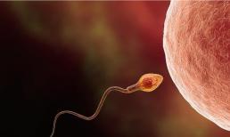 Nếu 'tinh binh' của đàn ông có 3 'biểu hiện' này thì mừng quá, nghĩa là bạn rất dễ thụ thai