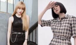 Một nhiếp ảnh gia có tiếng bất ngờ nhận xét bộ ảnh mới của 'gà' nhà Sơn Tùng, quyết định thế nào khi phải chọn giữa Thiều Bảo Trâm và Hải Tú?