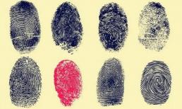 Thời cổ đại, không có công nghệ nhận dạng vân tay nhưng vẫn điểm chỉ vào văn bản quan trọng? Sau khi nghe lý do, hậu thế phải thán phục