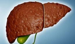 Đàn ông buổi sáng thức dậy với 4 cái 'bất thường', gan 'thối như tổ ong vò vẽ', nếu không có, lá gan bạn vẫn rất khỏe