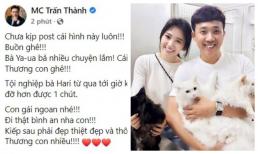 Chưa hết đau lòng vì mèo cưng ngã lầu chết, Trấn Thành xót xa vì tình trạng 'thê thảm' hiện tại của vợ yêu