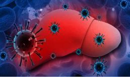 Các bác sĩ kêu gọi: nên dừng ăn một loại 'gia vị' trong bếp, nếu không nó sẽ từ từ 'làm rỗng' lá gan của bạn