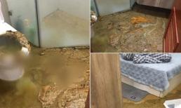 Chủ đầu tư căn hộ chung cư cao cấp nói gì về sự cố bồn cầu 'phun như núi lửa', chất thải ngập ngụa tới tận phòng ngủ?