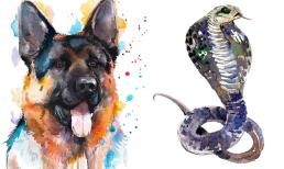 Tử vi 12 con giáp thứ 7 ngày 4/12/2021: Tuổi Tuất có nhiều cơ hội kiếm tiền, Tỵ dễ vướng chuyện thị phi