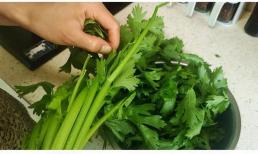 Tại sao bạn không nên ăn lá cần tây? Có thể nhiều người chưa biết. Hãy kể cho bố mẹ bạn nghe sau khi đọc nhé