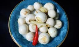 Muối cà pháo muốn nhanh lên men trong thời tiết lạnh và thơm hơn đừng bỏ qua bí quyết dưới đây