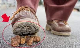 Ra ngoài mà gặp phải những tình huống như thế này thì tài lộc không giảm mà ngược lại ngày càng tăng, hôm đó nhất định có chuyện vui!