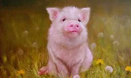 Vận đen bủa vây, 3 con giáp xui xẻo cuối tuần này (11-12/12), cẩn trọng kẻo mất trắng tất cả