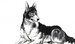 Tử vi tuần mới (13 -19/12): top 3 con giáp được Thần Tài gõ cửa, bỏ lại tai ương, sự nghiệp hanh thông, phát tài phát lộc