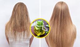 Rụng tóc nhiều đến mấy cứ thử 8 mẹo dân gian: Tóc giảm rụng nhanh chóng, mọc chắc khỏe trở lại