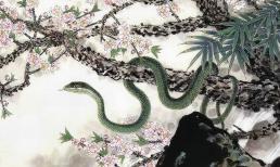 Cách hóa giải vận xui của con giáp Rắn 'Thất sát' trong năm 2022