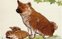 Ba con giáp có vận mệnh sa sút trước rồi thăng tiến sau, trước 30 tuổi thì túng quẫn, nợ nần, sau 30 tuổi sẽ phản công, đón vinh quang