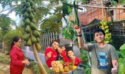 Lê Phương khoe vườn rau xanh mướt của nhà bố mẹ ruột ở Trà Vinh, hai nhóc tỳ thích thú khi được hái trái cây