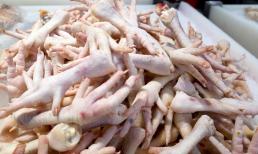 Tại sao trên thị trường luôn có nguồn cung cấp chân gà liên tục? Chúng được lấy từ đâu?