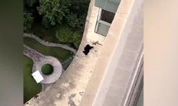 Phi vụ 'giải cứu áo' bị gió thổi bay ở chung cư của người đàn ông khiến dân tình trầm trồ