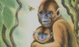 Top 3 con giáp mang mệnh phú quý, khổ trước sướng sau, qua tuổi 35 giàu lên chóng mặt, hậu vận an nhàn