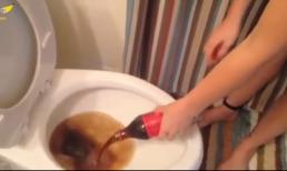 Đổ nửa lít coca vào bồn cầu, những gì xảy ra sau đó thật sự rất kỳ diệu! Bạn nên thử điều này cho gia đình mình