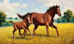 Cuối tuần này (25-26/12), top 3 con giáp được Thần Tài ghé thăm, may mắn bất ngờ, tài lộc bùng nổ, tha hồ hốt vàng hốt bạc