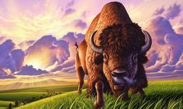 Tuần cuối năm (27/12/2021 - 2/1/2022): 3 con giáp xui xẻo vì có hung tinh đeo bám, tiểu nhân ngáng đường