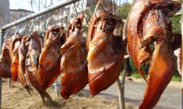 Để muối cá không được dùng muối trực tiếp, muốn cá không bị hôi, tanh mà hương vị thơm ngon thì có 3 bước quan trọng sau đây