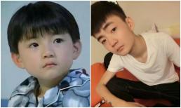 Ra mắt năm 8 tuổi, yêu năm 12 tuổi, vào tù năm 21 tuổi, cư dân mạng cảm thán: Sao nhí thất bại nhất làng giải trí!