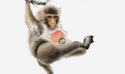 Ai thuộc 3 con giáp này, bất kể nam hay nữ đều sẽ sở hữu khối tài sản triệu đô