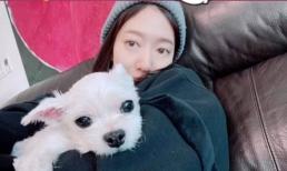 Park Shin Hye giấu bụng bầu lộ diện vào dịp đón năm mới, gương mặt thay đổi thấy rõ khi mang thai 