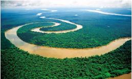 Tại sao đến nay vẫn chưa có một cây cầu nào dám bắc qua sông Amazon?