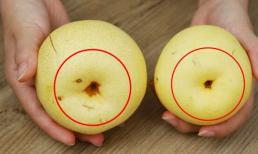 Khi mua lê, đừng chỉ chọn những quả to. Hướng dẫn bạn 4 mẹo để dễ dàng chọn được 'lê cái' mỏng và mọng nước