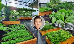 Đã mắt với khu vườn nhiều loại rau sạch trên sân thượng nhà vợ chồng Lê Hoàng (The Men)
