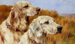 Hung vận lấn át cát vận 2 ngày cuối tuần (8 - 9/1), con giáp này làm gì cũng xui xẻo, rắc rối liên tục ập đến