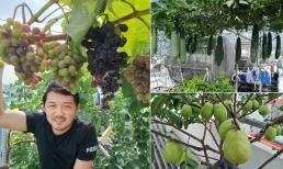 Trồng thành công nho, ổi, dưa... sai trĩu trái trên sân thượng, chàng trai chia sẻ 5 điểm cần lưu ý 