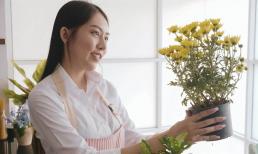 3 bí mật về phong thủy nhà ở để thúc đẩy sự giàu có vào năm 2022