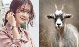 Vận may ập đến, 3 tuổi này phát tài bất ngờ, có cơ hội đổi đời trong 10 ngày tới