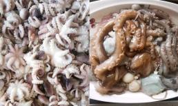 Khi mua bạch tuộc, “chân dài” hay “chân ngắn” ngon? Sự chênh lệch là rất lớn, nếu hiểu rõ rồi thì mua sẽ không bị hớ